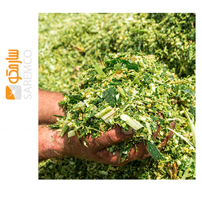 Thức Ăn Gia Súc Ủ Chua Ngô Chất Lượng Cao/Số Lượng Lớn Túi Ủ Chua Ngô Và Giá Cả Cạnh Tranh - Product Image 1