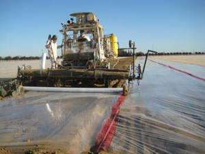 Film de paillage transparent TIF VIF à barrière d'oxygène pour la désinfection des sols agricoles - Product Image 4