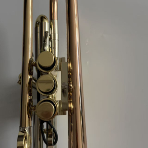 <span class=keywords><strong>Trompeta</strong></span> de Cobre y Latón de 140 cm, Tamaño de <span class=keywords><strong>Campana</strong></span> Grande, Estándar de Exportación de Alto Nivel para Músicos Profesionales - Product Image 2