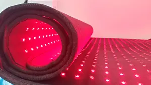 Face Skin Beauty Full Body Red Light Therapy Mat Relieve Pain Infrared Light Giant Pad At Home Use