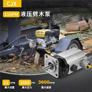 Cheng Jiaxin Hydraulic Pump Aluminum Alloy Gear Pump 500 Lpm For Wood Splitter Agricultural <b>Machinery</b> - Product Image 2