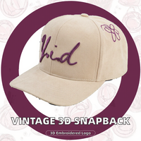 Casquette Snapback Vintage à Visière Plate 6 Panneaux, Logo Personnalisé Broderie 3D, Design Lettres et Images Sportif Tendance, Toile Denim, Plage et Extérieur