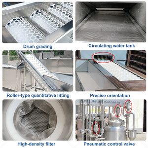 Máquina Completa OCEAN para Elaboración, Llenado y Envasado de Jugo de Tomate, Línea de Producción y Empaquetado de Jugo de Coco y Frutas - Product Image 4