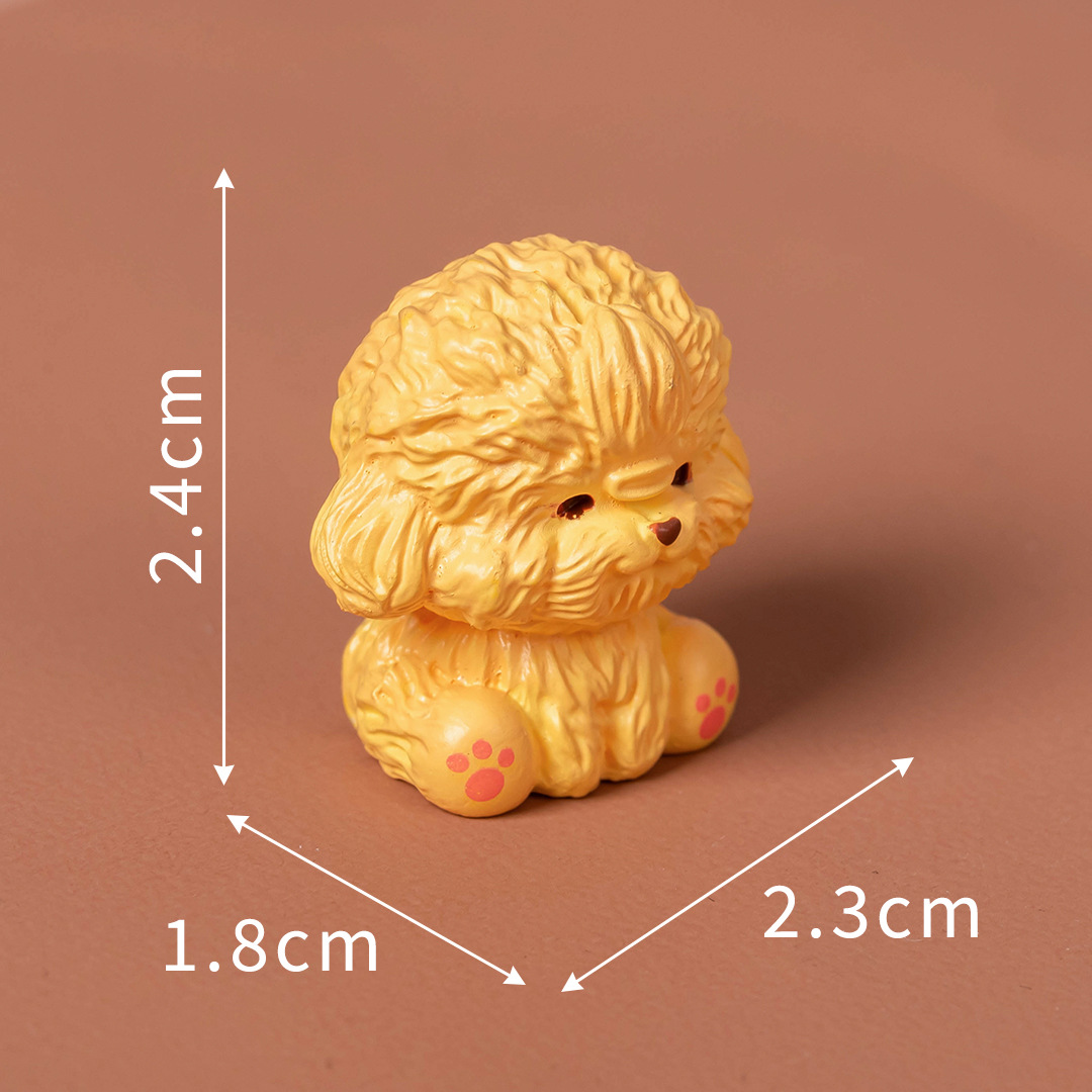 Shih Tzu non.5