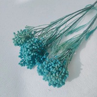 PPS05 Brunia Albiflora Conservé Corail Fruits Fleurs Offre Spéciale Vente En Gros pour Graduation De Noël Thanksgiving Décoratif
