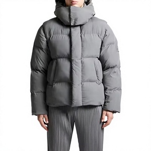 Veste d'hiver rembourrée à capuche noire pour homme, coupe régulière, couleur unie, fermeture éclair, coupe-vent - Product Image 2