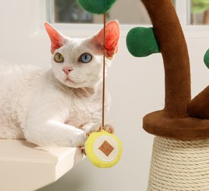 Torre de Actividades para Gatos de Peluche con Poste Rascador de Sisal, Condominio en Forma de Hongo para Interiores y Juguete Colgante de Bola - Product Image 3