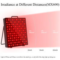 Panneau de luminothérapie infrarouge LED OEM/ODM pour la beauté à domicile, lumière rouge, directement de l'usine, prises américaines