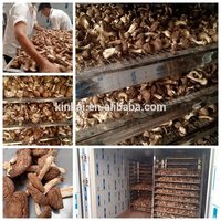 Four de séchage commercial KINKAI à bas prix et haute efficacité, sécheur à plateaux chauffants électriques, déshydrateur de fruits et légumes