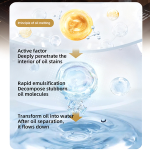 Spray <span class=keywords><strong>Sgrassante</strong></span> Professionale OEM per Forni e Griglie, Potente Detergente per Cucina, Piano Cottura, Microonde e Rimozione di Olio - Product Image 4