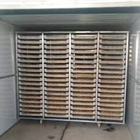 Horno de Secado de Almidón de Patata y Camote, Secador Industrial de Aire Caliente Circulante para Producción de Fideos y Polvo