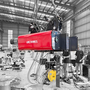 Palan électrique à grue simple de type européen M5 à faible hauteur libre 3 tonnes - Product Image 1