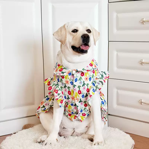 Robe florale pour grands chiens, style princesse, légère, pour Labrador, Golden Retriever, mignonne, printemps-automne - Product Image 1