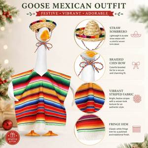 Traje de Ganso para Porche, Poncho Mexicano, Sombrero de Paja, Ropa con Rayas Arcoíris y Flecos para Estatuas de Jardín, Decoración para Fiesta - Product Image 3