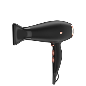 Sèche-cheveux compact professionnel pour salon, 2 vitesses, vente en gros - Product Image 1