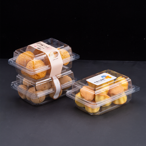Trong suốt nhựa dùng một lần bánh thực phẩm <span class=keywords><strong>Container</strong></span> hình chữ nhật hộp lưu trữ cho Sushi Hamburger bánh mì vỏ sò bánh bao bì - Product Image 3