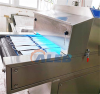 Machine de stérilisation UV, stérilisateur UVC, tunnel UV pour la désinfection alimentaire