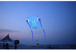 Cometas Luminosas, Juguetes para Exteriores, Cometas Profesionales para Playa, el <span class=keywords><strong>Cometa</strong></span> Más Vendido para Niños - Product Image 6