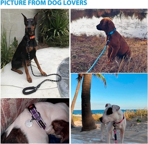 <span class=keywords><strong>Collar</strong></span> y Correa de Entrenamiento para Perros Duraderos para Exteriores, Collares de Lujo para Perros, Correas para Gatos, Suministros para Mascotas para el Entrenamiento de Cachorros, Correr y Caminar - Product Image 3