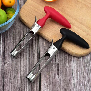 Décortiqueur de fruits multifonctionnel en acier inoxydable SYH1193 avec poignée, facile à nettoyer, pour usage en cuisine, fabriqué en plastique - Product Image 3