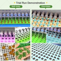 Machine de production de mini-bonbons gélifiés en forme de sucettes, fabriquée en Chine, pour la confection de confiseries