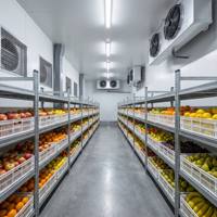 Sistema de Congelación Rápida con Compresor de Tornillo de Alta Calidad para Cámaras Frigoríficas Industriales de Ahorro Energético para Plantas de Alimentos Congelados