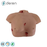 Modèle anatomique forensique de poitrine et d'abdomen en PVC hautement simulé Deren DRFY pour la science médicale
