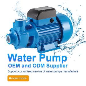 ELESTAR 0.5HP QB60 Pompe à eau commerciale monophasée basse pression en acier inoxydable, aluminium et fonte 220V IP55 QB - Product Image 2