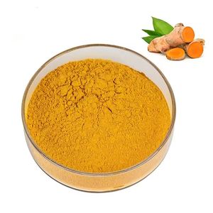 Longsheng 95% Hữu Cơ tinh khiết NGHỆ CURCUMIN bột chiết xuất thảo dược Curcuma longa gốc đóng gói trong có thể hoặc nhựa container - Product Image 2