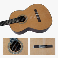 China Aiersi Brand Hauser Classical Guitar Model with All Solid Body for Professional Player