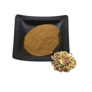 Polvo de <span class=keywords><strong>bioflavonoides</strong></span> cítricos Buen precio Ingrediente 60% Polvo de extracto de cítricos <span class=keywords><strong>Bioflavonoides</strong></span> - Product Image 1