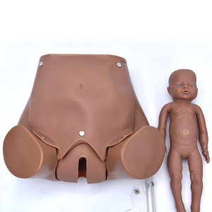 Mô Hình Sàng Lọc Cổ Tử Cung Và Y Tế Cho Nữ Và Mô Hình Đào Tạo Sinh Thai Nhi Chăm Sóc Y Tế Tiên Tiến Mô Hình Bà Mẹ - Product Image 5