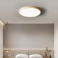 Plafonnier LED moderne en fer et acrylique, 3500K blanc chaud, AC 220V, éclairage intérieur à économie d'énergie pour salon et chambre à coucher