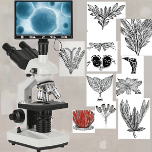 กล้องจุลทรรศน์ชีวภาพแบบ Trinocular รุ่น Deetin TW30-A3TV พร้อมไฟ LED กำลังขยาย 5000 เท่า ความละเอียดกล้อง 1920x1080 สำหรับใช้ในห้องปฏิบัติการ - Product Image 3