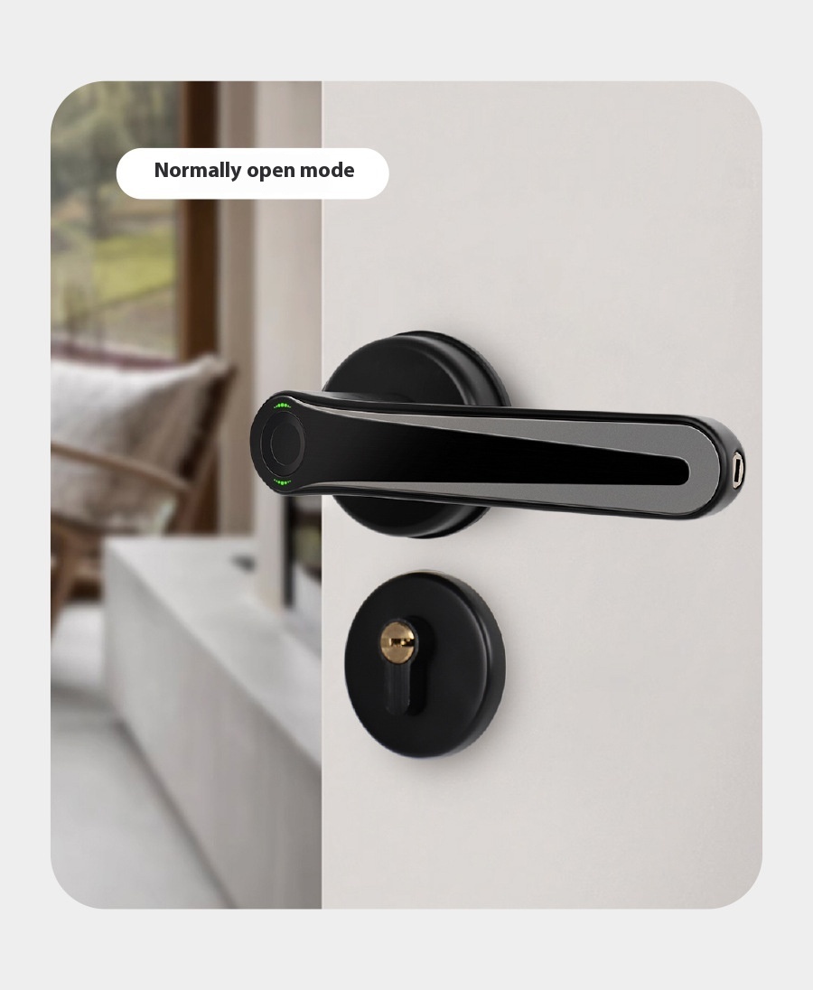Security Serrure Intelligente Fingerprint Fechadura Digital Keypad Home Automatic Deadbolt Smart Lock for Front Door · image 6