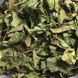 Celastrus Hindsii Seco Natural AD / Ingrediente de Té Herbal Crudo de Alta Calidad / Ahorro al por Mayor / Hecho en Vietnam - Product Image 1