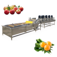 Fruit Groenten Kastanje Bosbessen Aardbei Olijf Papaja Tomaat Citroen Aardappel Wassen Drogen Sorteerder Machine Productielijn