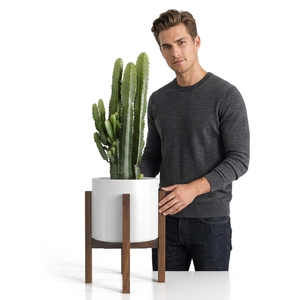 Soporte Ajustable de Bambú para Plantas de Interior, Marrón, de un Solo Nivel, Soporte de Pared para Plantas, Estilo Moderno de Mediados de Siglo, Estante para Macetas para Cocina - Product Image 4