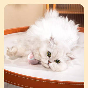 Giocattolo elettrico giocattolo per gatti all'ingrosso Usb automatico ricaricabile interattivo giocattolo per gatti - Product Image 6