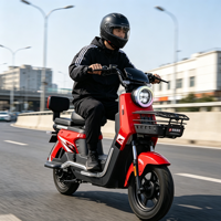 Nouveau Vélo Électrique Urbain Adulte 2026 avec Panier Avant et Dossier Arrière, Longue Autonomie