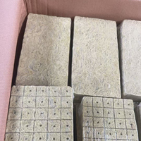 Media Tanam Hidroponik Shengding, Biji, Bibit, Tanaman, Kubus Penyemaian, Spons 25*25*25mm