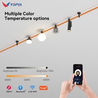 Ceinture de piste magnétique suspendue Système d'éclairage COB Ceinture de suspension magnétique Lumière de piste LED pour une installation facile et des spots réglables