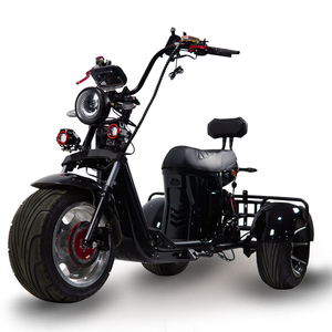 Tricycle Électrique Loyal à 3 Roues, Moto Tricycle Électrique <span class=keywords><strong>et</strong></span> <span class=keywords><strong>Vélo</strong></span> Électrique à 3 Roues 4000W, Trike 3000W, <span class=keywords><strong>Vélo</strong></span> Électrique Citycoco - Product Image 1
