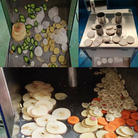 Automatische Groentesnijder Fruitkiwi Citroenappel Weegbree Snijmachine