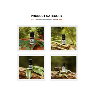 Venta al por mayor de Aceite Orgánico de Ravintsara SAKAY Destilado al Vapor, Mezcla de Hojas para Apoyo Inmunológico, Base con 3 Años de Vida Útil, Marca Privada - Product Image 3