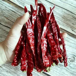 Direkt vom Hersteller gewürze trockener heißer roter Chillipfeffer