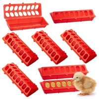 Mangeoire double rangée pour poussins, pigeons et cailles, 16 trous, en plastique, pour petits oiseaux et volailles, rouge/jaune/vert, vente chaude