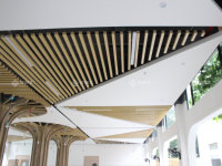 Offre Spéciale 50*50mm WPC décor tube carré panneau de séparation murale en plastique bois Composite MDF tube