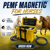 Appareil de thérapie magnétique PEMF portable pour l'équitation, à double commande, pour la réduction de la douleur équine, avec boucle papillon