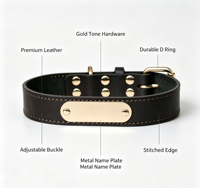 Kalung Pelatih Anjing & Kucing Mewah OEM ODM Kulit Sapi Asli Custom Rivet Sederhana Modern Lembut dengan Pelat Nama Logam Terukir